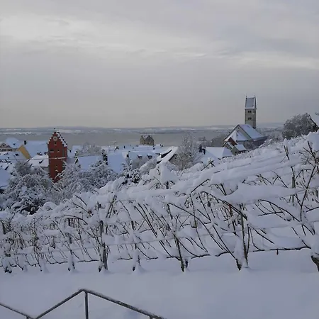 Hofreite * Meersburg